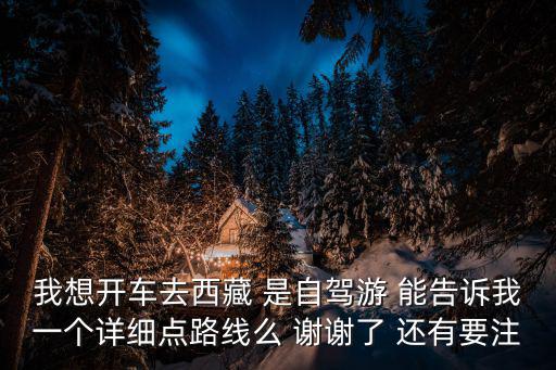 我想開車去西藏 是自駕游 能告訴我一個詳細點路線么 謝謝了 還有要注