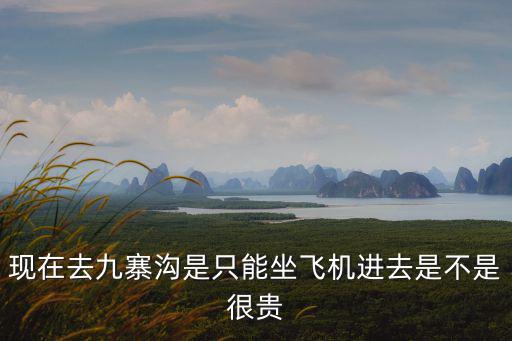 現在去九寨溝是只能坐飛機進去是不是很貴