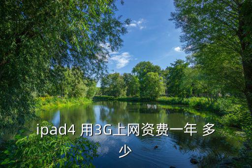 ipad4 用3G上網(wǎng)資費(fèi)一年 多少