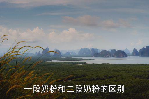 一段奶粉和二段奶粉的區別