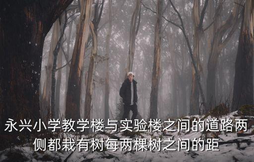 永興小學教學樓與實驗樓之間的道路兩側都栽有樹每兩棵樹之間的距