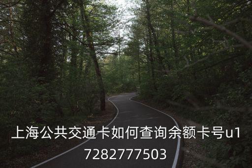 公交卡查詢，上海公共交通卡如何查詢余額卡號u17282777503