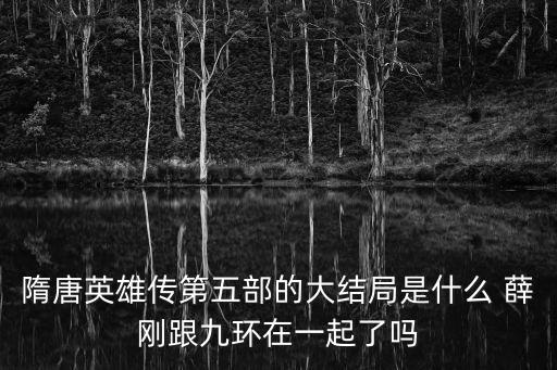 隋唐英雄傳第五部的大結(jié)局是什么 薛剛跟九環(huán)在一起了嗎