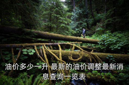 油價(jià)多少一升 最新的油價(jià)調(diào)整最新消息查詢一覽表