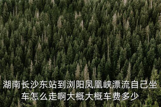湖南長沙東站到瀏陽鳳凰峽漂流自己坐車怎么走啊大概大概車費多少