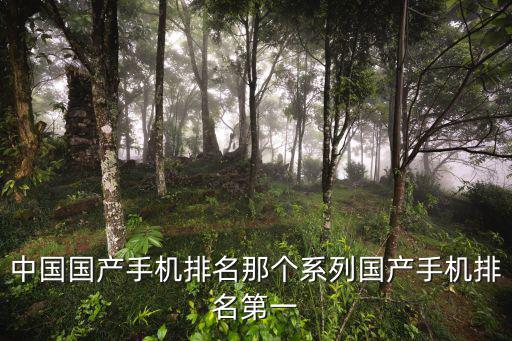 國產手機前十名，純國產手機都有什么品牌啊