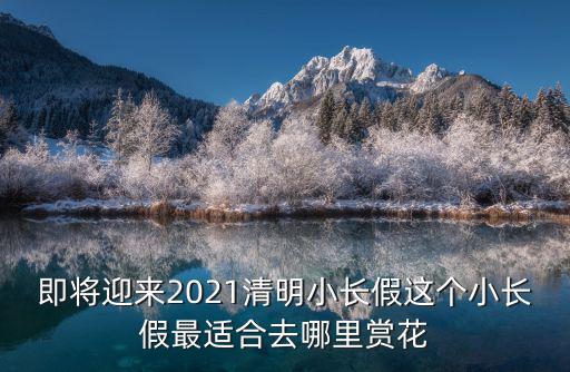 清明賞花，清明期間哪些花兒開得旺