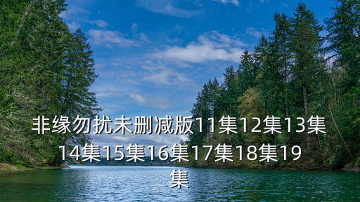 非緣勿擾電視劇全集劇情介紹，電視劇非緣勿擾精彩劇情會(huì)給觀眾不樣的驚喜