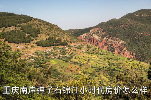 重慶南岸彈子石錦江小時代房價怎么樣