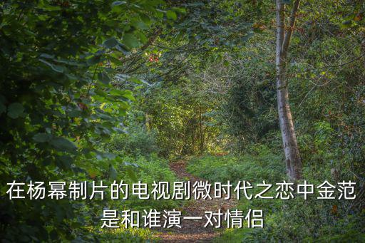 在楊冪制片的電視劇微時代之戀中金范是和誰演一對情侶