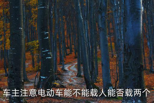 車主注意電動車能不能載人能否載兩個