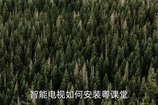 智能電視如何安裝粵課堂
