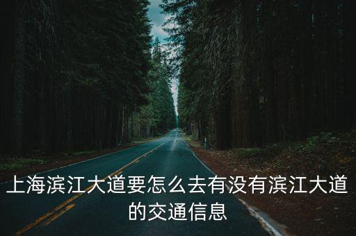 上海濱江大道，濱江大道在哪個區是徐匯區嗎