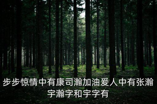 步步驚情中有康司瀚加油爰人中有張瀚宇瀚字和宇字有