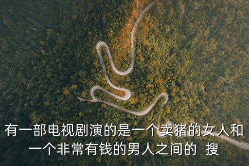 有一部電視劇演的是一個賣豬的女人和一個非常有錢的男人之間的  搜