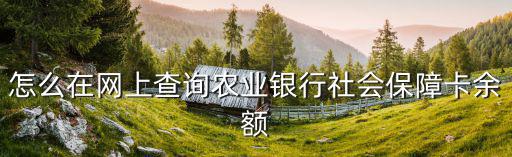 怎么在網(wǎng)上查詢農(nóng)業(yè)銀行社會保障卡余額
