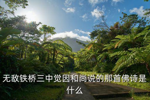 無敵鐵橋三中覺因和尚說的那首佛詩是什么