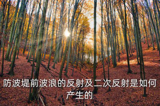 防波堤前波浪的反射及二次反射是如何產生的