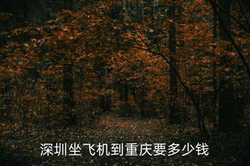 深圳坐飛機到重慶要多少錢