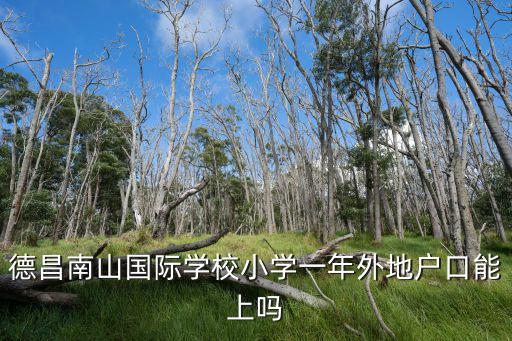 德昌南山國際學校小學一年外地戶口能上嗎