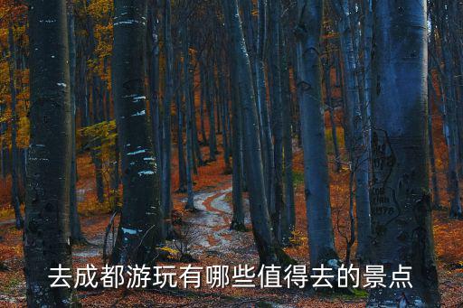 成都玩，想去成都玩那種住宿方式更合適呢