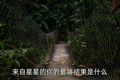 來自星星的你的最終結果是什么