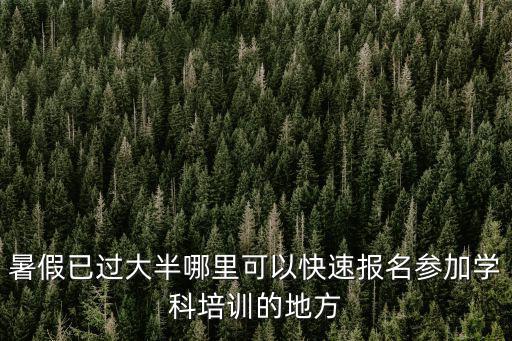 暑假已過大半哪里可以快速報名參加學科培訓的地方