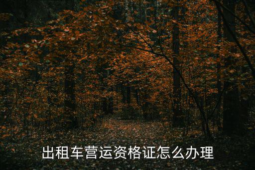 營運資格證，營運資格證是什么東西