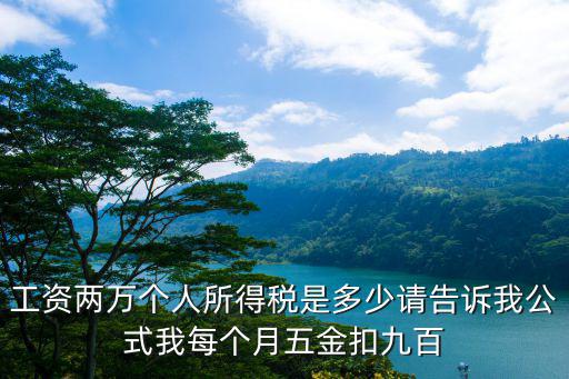 工資兩萬個人所得稅是多少請告訴我公式我每個月五金扣九百