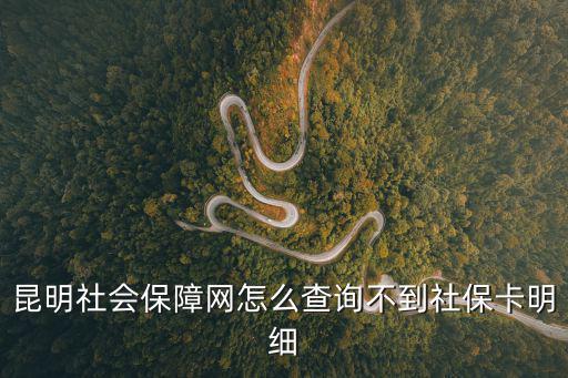昆明社會保障網怎么查詢不到社保卡明細