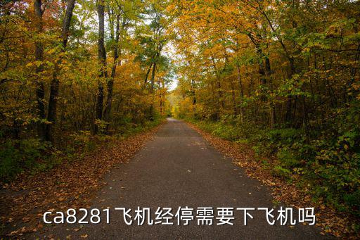 ca8281飛機經停需要下飛機嗎