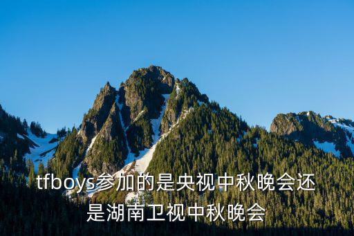 tfboys參加的是央視中秋晚會還是湖南衛視中秋晚會
