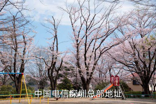 深圳中國電信，中國電信深圳總部地址