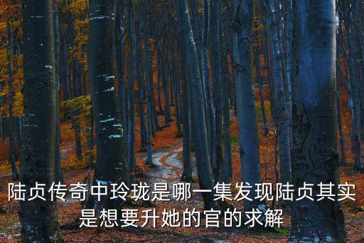 陸貞傳奇玲瓏，陸貞傳奇中玲瓏是哪一集發(fā)現(xiàn)陸貞其實是想要升她的官的求解