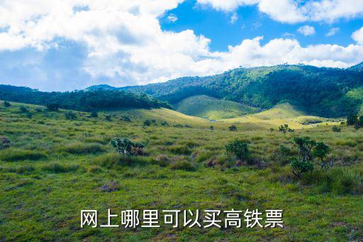 高鐵網上訂票官網，12306網上訂票官網