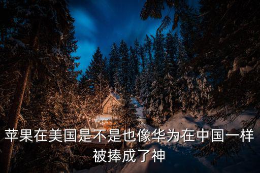 apple美國，美國蘋果跟真正的Apple有什么不同