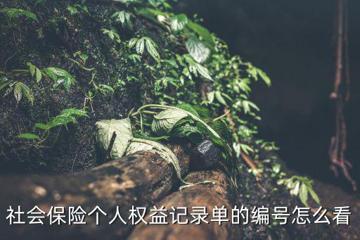 社保編號在哪里看，蘇州社保的編號怎么查啊市民卡上有嗎