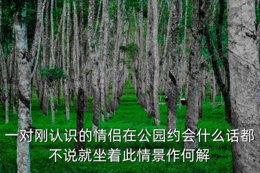 一對剛認識的情侶在公園約會什么話都不說就坐著此情景作何解
