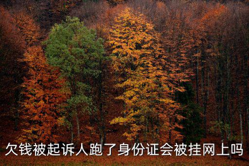 欠錢被起訴人跑了身份證會被掛網上嗎