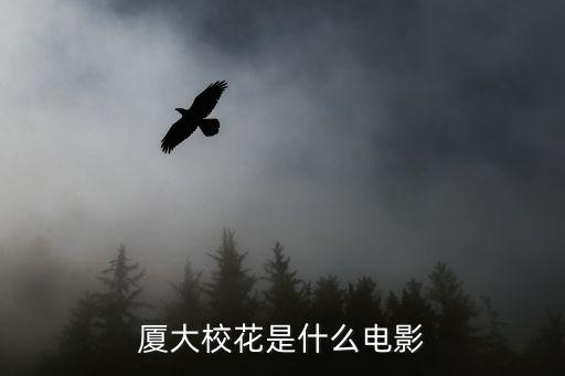廈大校花是什么電影