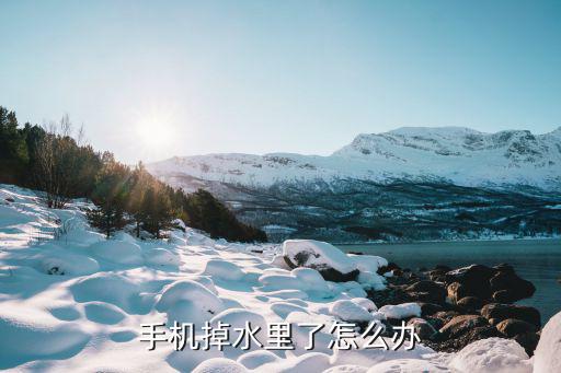 手機掉水里了怎么辦，手機掉水里了怎么辦