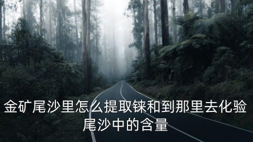 金礦尾沙里怎么提取錸和到那里去化驗尾沙中的含量