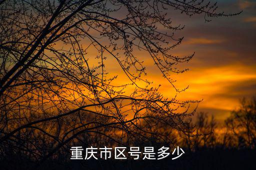 重慶市區號是多少