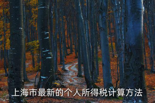 上海個(gè)人所得稅，上海的個(gè)人所得稅怎么算的