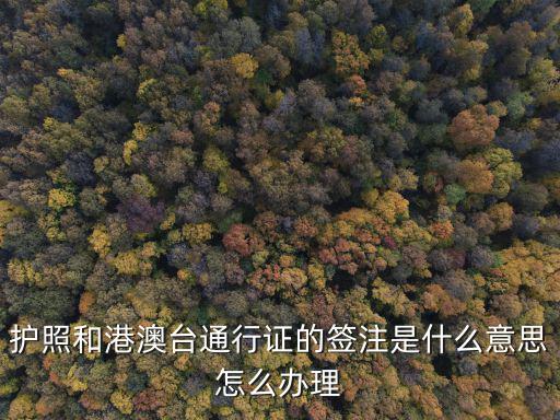 港澳簽注，護照和港澳臺通行證的簽注是什么意思怎么辦理