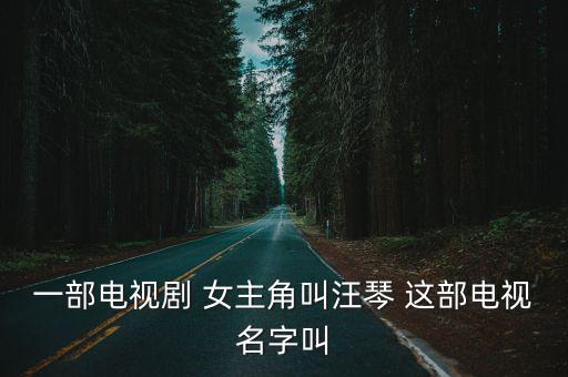 一部電視劇 女主角叫汪琴 這部電視名字叫