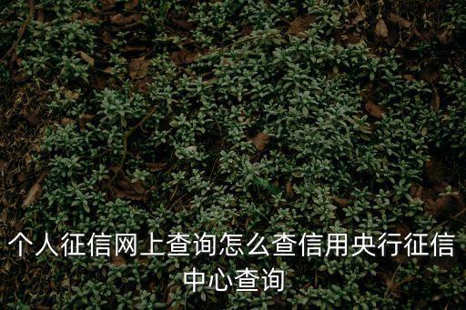 個人征信網上查詢怎么查信用央行征信中心查詢
