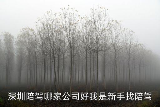深圳陪駕，深圳陪駕哪家公司好我是新手找陪駕