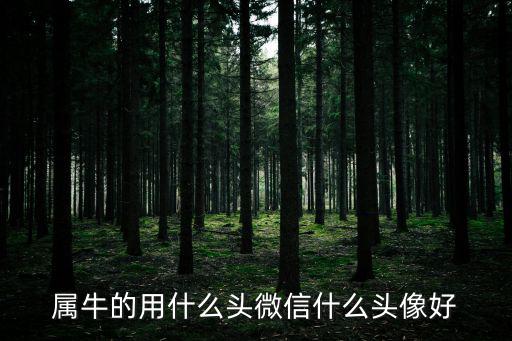 屬牛的用什么頭微信什么頭像好