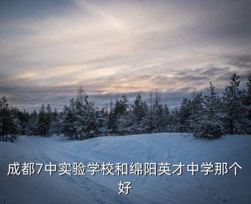 成都7中實(shí)驗(yàn)學(xué)校和綿陽英才中學(xué)那個(gè)好